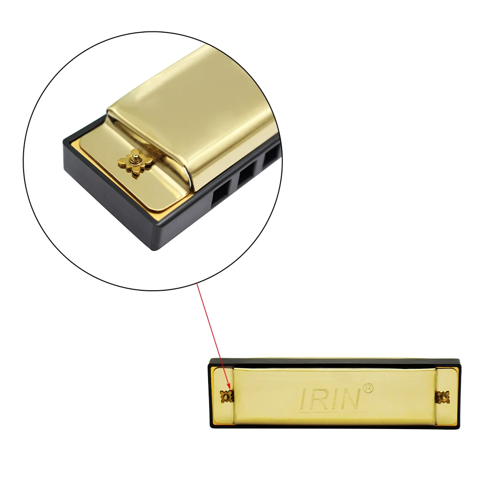  10 Holes 20 Tone Diatonic Blues Harmonica Key of C with Case for Beginner Children