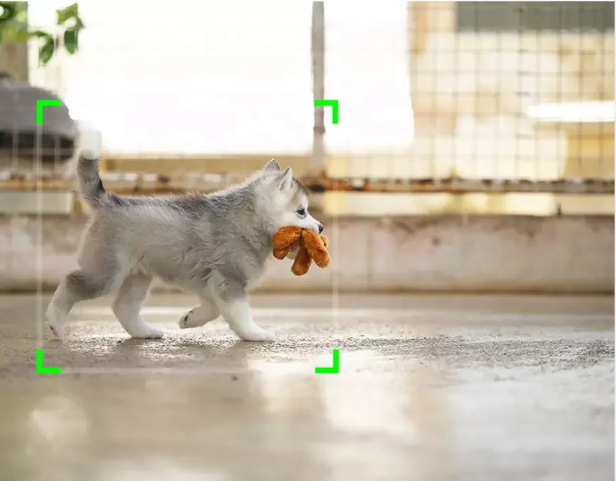 Auto Face Tracking Smart Shooting Holder 360 Object Tracking Gimbal Stabilizer Stand for phone camera follow you accessories