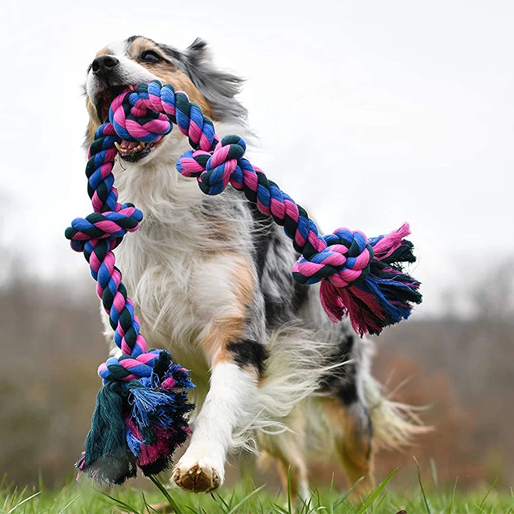 30 New Arrival Monthly Manufacturer Eco Friendly Durable Squeak Interactive Iq Training Plush Rope Cat Dog Pet Toys