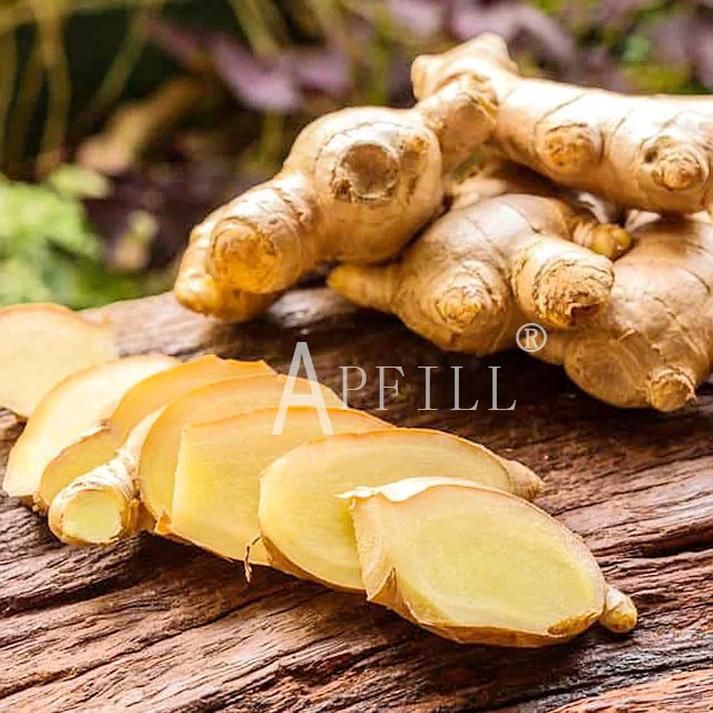 China Fresh king of Ginger 150g/250g up 5kg/10kg/30LBS PVC Box sinofarm Ginger wholesale price per ton for importers of ginger