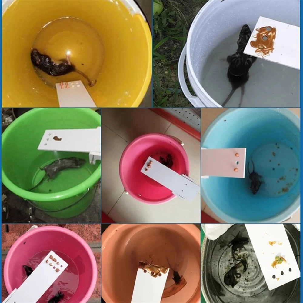 Mouse Catcher Bait fly Killer Rat Trap Seesaw Multifunctional DIY Walk The Plank Humane Bucket Durable Home Non-toxic Mousetrap