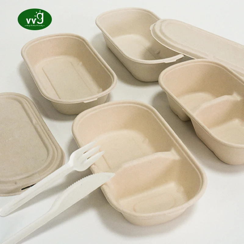 VVG high quality bagasse takeout container food packaging biodegradable 800/1000ml takeaway bagasse sugarcane box