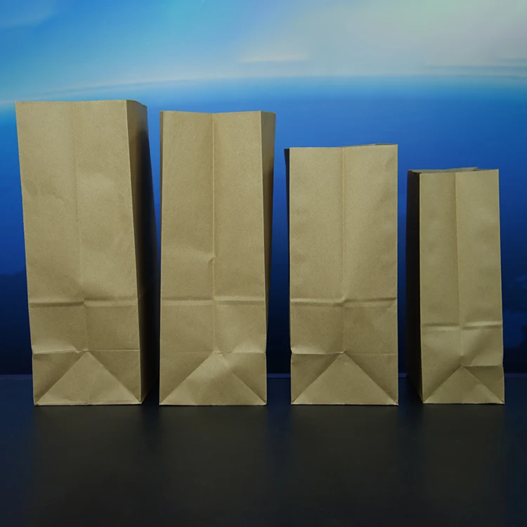 100% Compostable Recycled Durable Brown Kraft Paper Lunch Bags For Snack Takeaway Bread Packaging