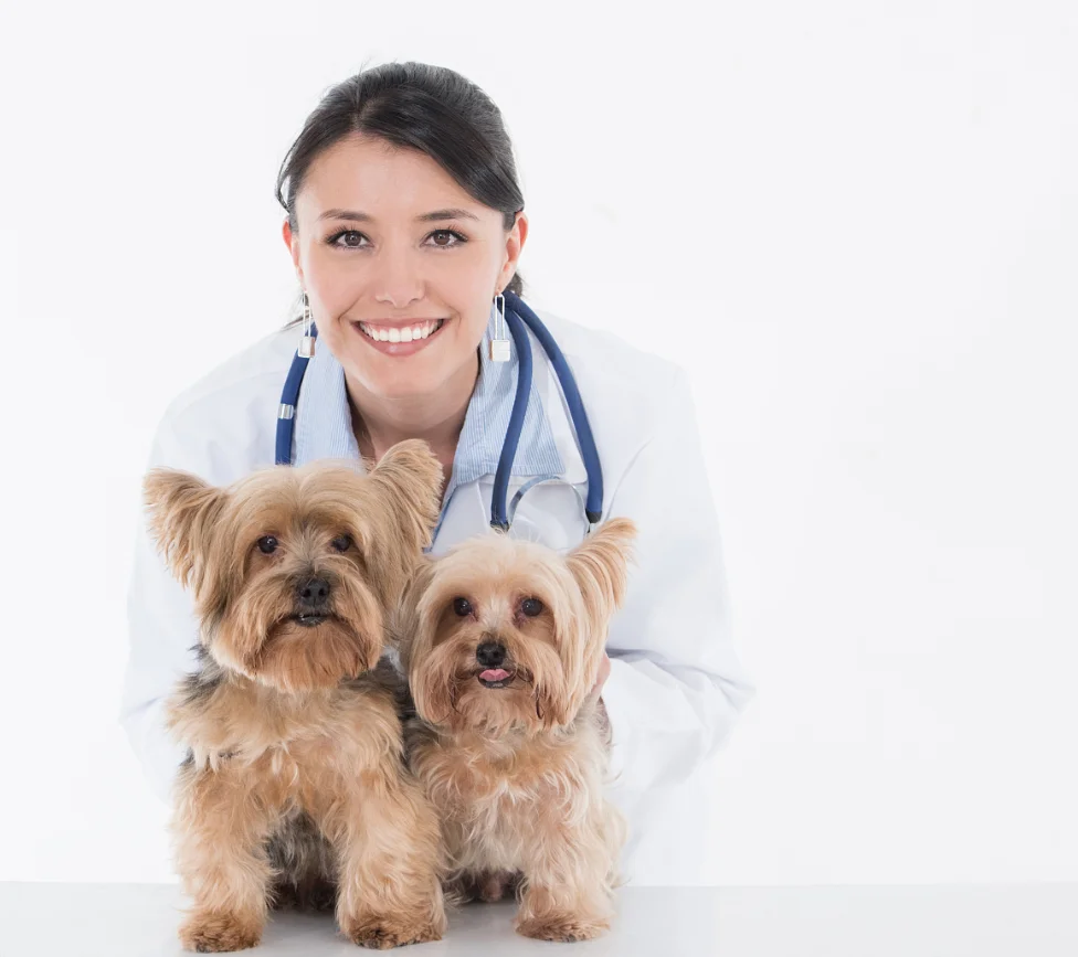 ECGMAC VET-301 Electrocardiograph 3 Channel Animal veterinary equipment Ecg Machine