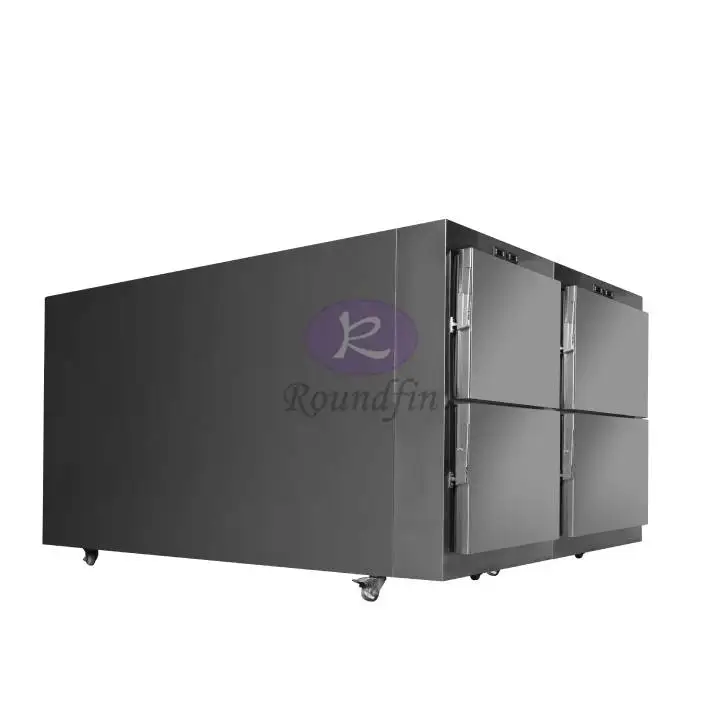 ROUNDFIN Stainless Steel Dead Corpse Mortuary 9 Bodies morgue freezer mortuary body refrigerator