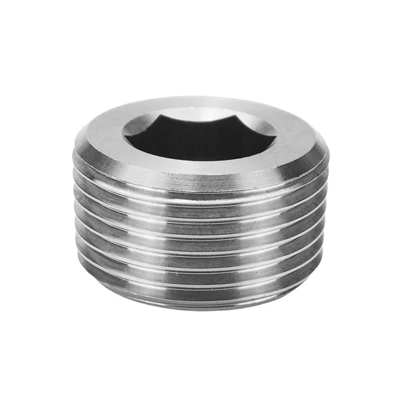 Factory direct sale Stainless steel 304 BSP Hexagonal Plug For Oil Water Gas
