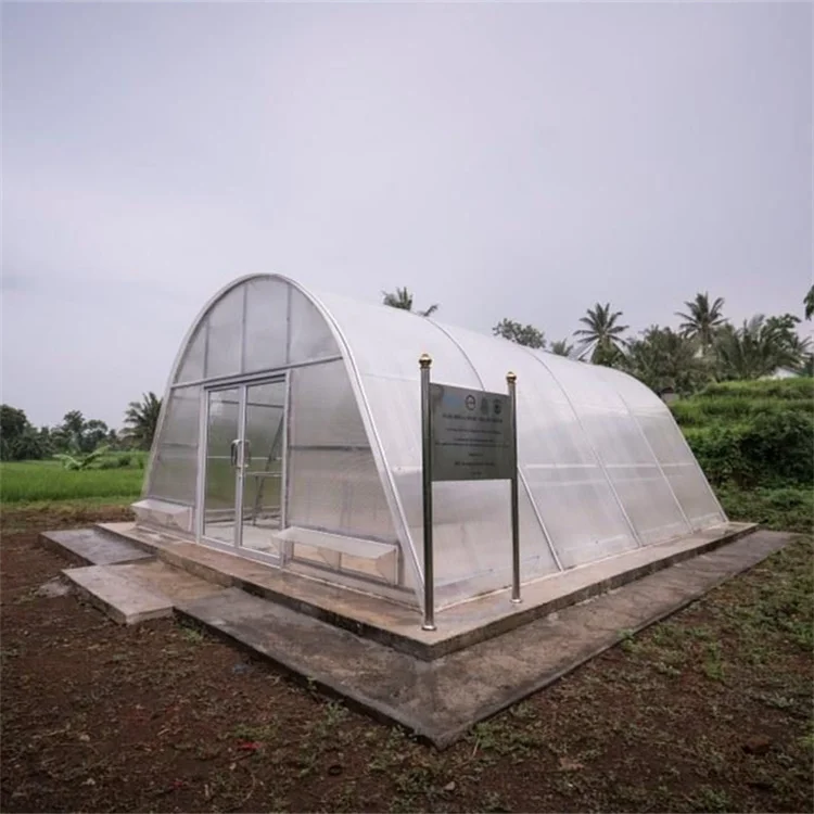 Drying chilli solar dry greenhouse for vegetables and fruits
