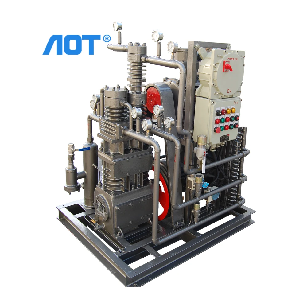 Quality Piston Air Compressor Pump Heads Natural Gas Station Dental Air Compressor