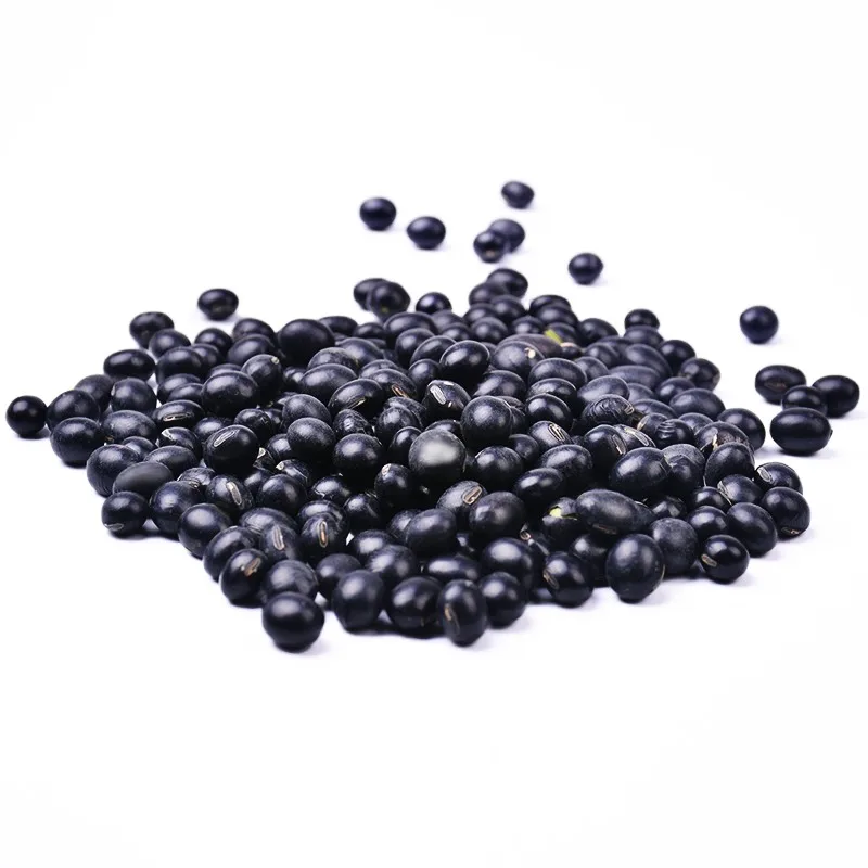 
High quality new Crop Dried Black Kidney Bean 