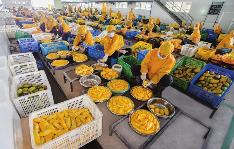 Заводская оптовая продажа, сок манго высокого качества 275 кг/пакет, пюре манго