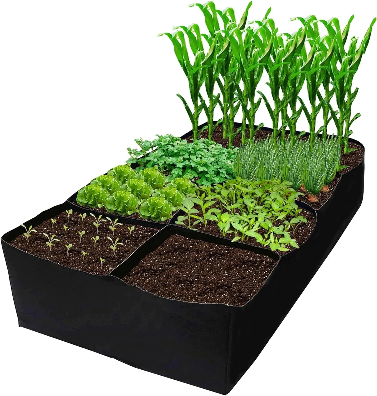 Fabric Raised Garden Bed 6x3x1ft Garden Grow Bed Bags for Growing Herbs Flowers and Vegetables 128 Gallon