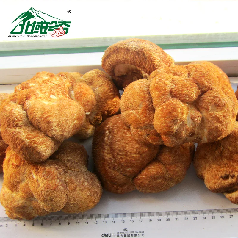 Органический порошковый экстракт грибов Лев/порошковый экстракт грибов Лев по выгодной цене