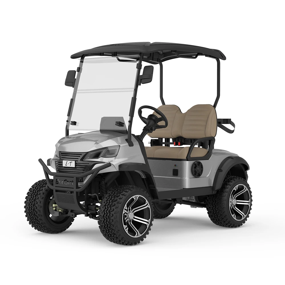New Arrival Product 2 Passenger Powerful Small Golf Cart Electric Sightseeing 48V Fast Golf Cart