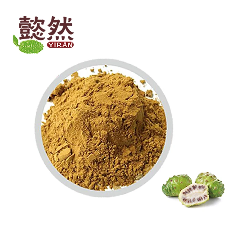 Factory wholesale Water Soluble Bulk Noni Fruit Extract Powder for Immunity Healthy