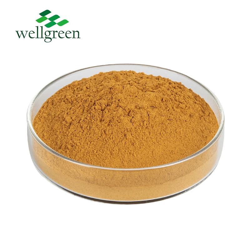Factory Supply mulberry extract Organic Mulberry Leaf Extract Powder Natural 10:1 Mulberry Leaf Extract