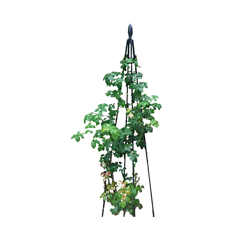 Rose Flower Growing Plant Support Rack Outdoor Pyramid Garden Obelisk