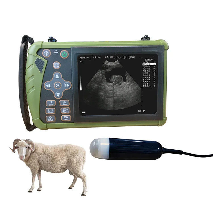 Самый дешевый 5-дюймовый инструмент для козьего скота портативный гидролокатор Ветеринарный ультразвуковой аппарат