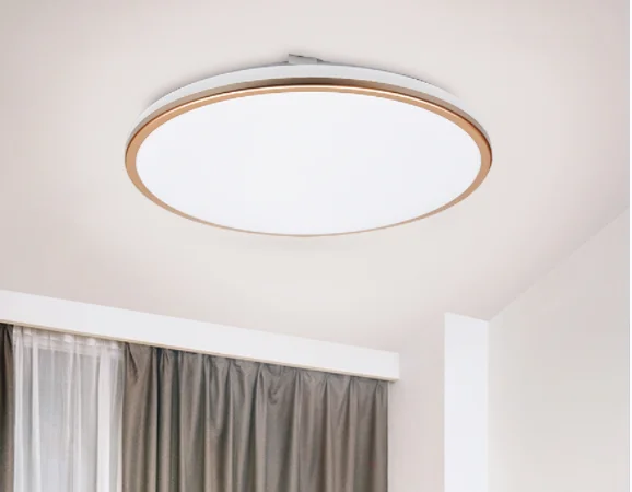 ceiling light lumiere led plafond 12w 18w 24w Living Room Semi-circle or full circle Waterproof Ultra Thin led ceiling lamp