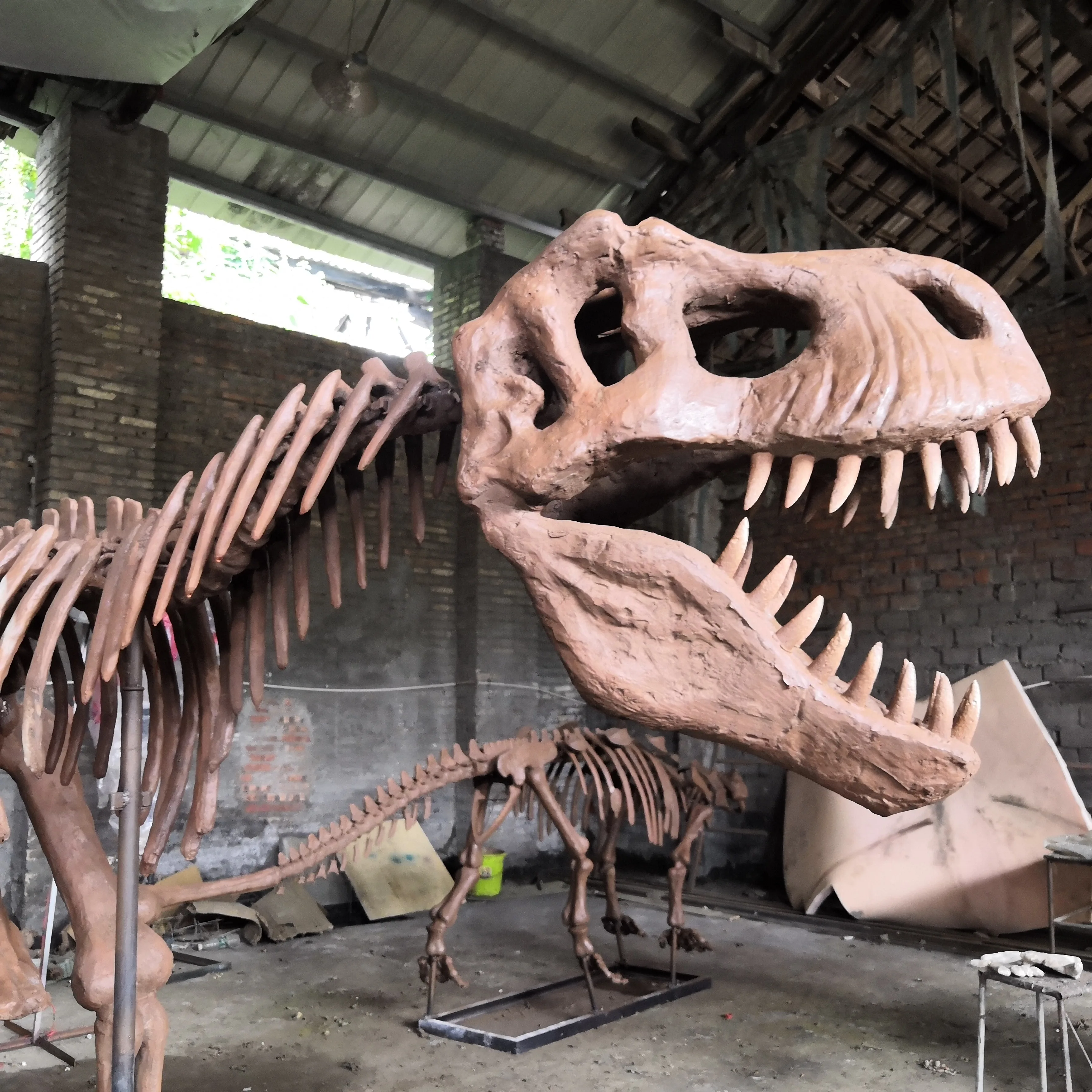 Professional Factory Customized Realistic Exhibition Dinosaur Skull Bone Fossil Dinosaur Skeletons