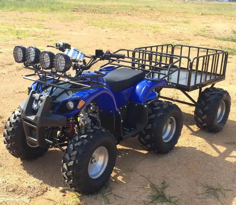 
 2019 новый дизайн, универсальный пляжный багги для фермы, вездехода с грузовой кроватью  