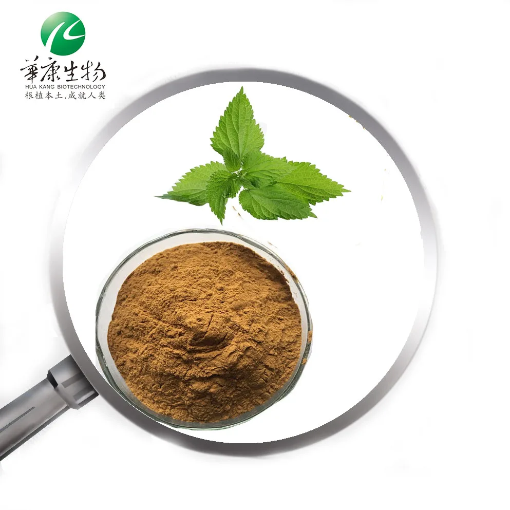 Nettle Root Extract nettle root extract benefits 4:1 urtica dioica extract 1%,2% Beta-sitosterol