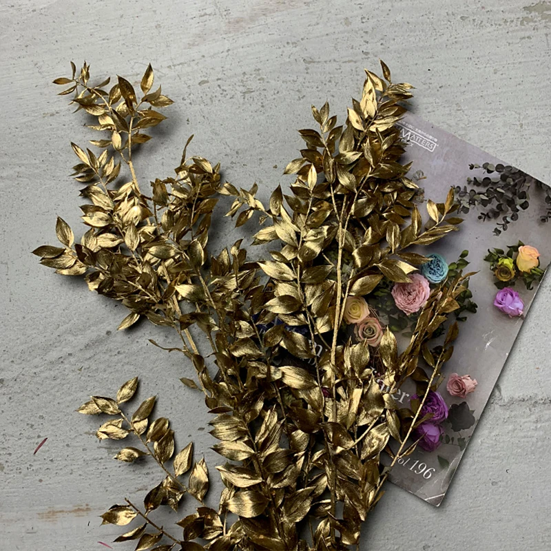 Yunnan Concise style Natural green flower Preserved Ruscus leaves for home decoration