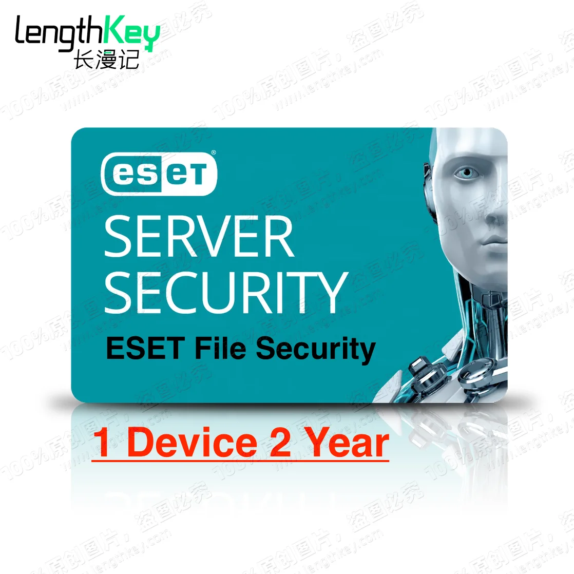 Genuine License ESET Server/File Security Key 1 Device 2 Year Privacy Protection Antivirus Software Nod32 AntiVirus