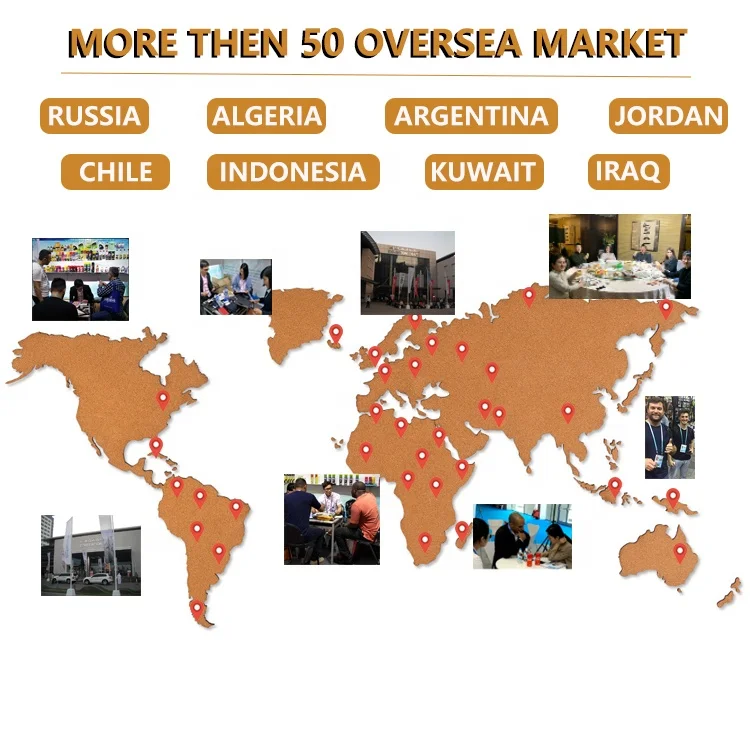 4L engine coolant brands GL long life best waterless concentrate ultra antifreeze coolant for car