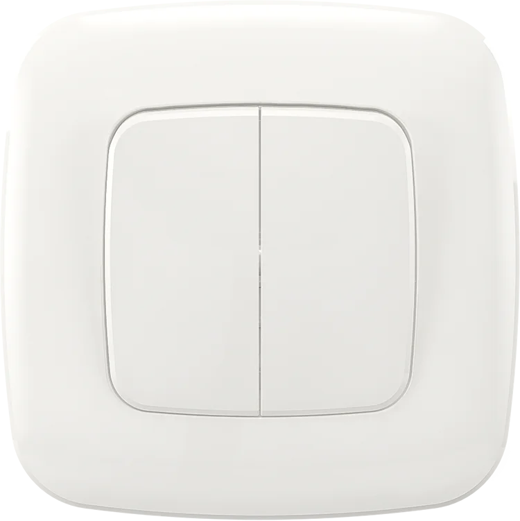 Songri High Quality 10A 250V 2Gang 1 Way Switch