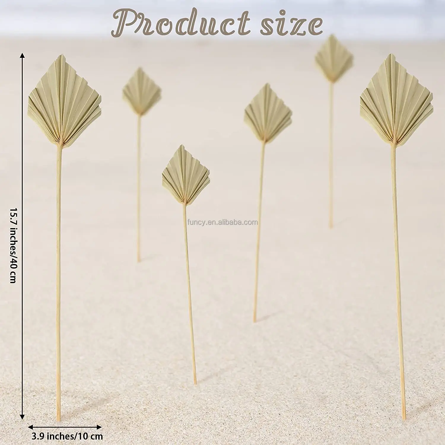 Fast Delivery Pampas Artificial Dried Flower Leaf Decorative Preserved Leaf Palm Tree Leaves