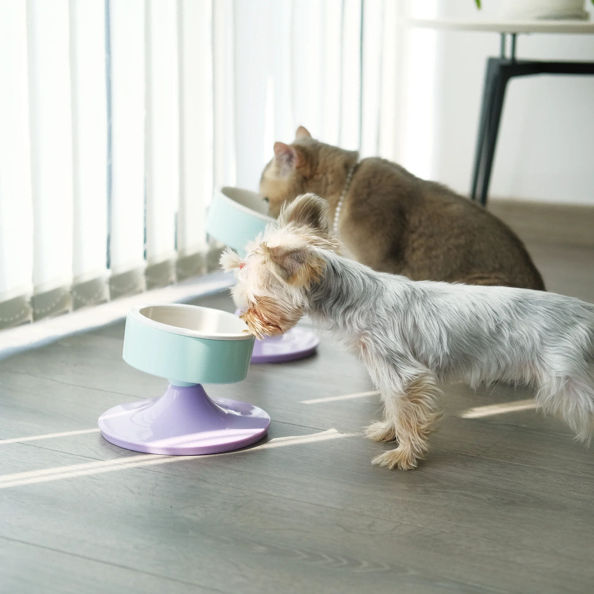 Миски для домашних животных кормушки три высоты регулируемые керамические миски