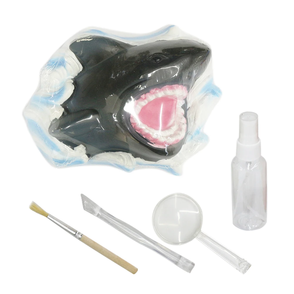 Realistic shark plaster model STEM sea excavation discover archaeological fossils toy