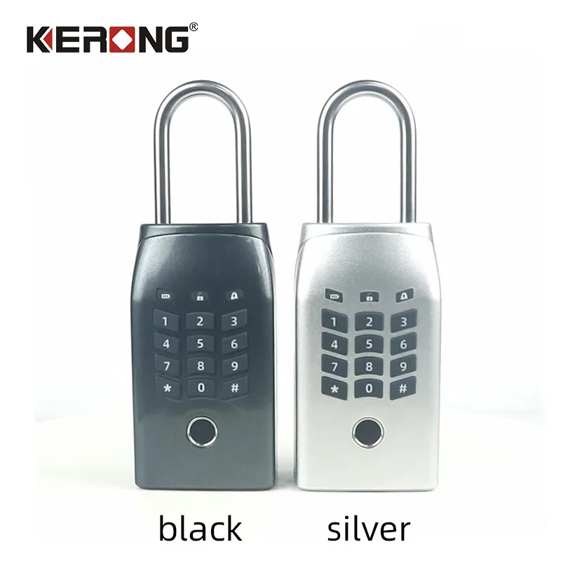 Electronic Zinc Alloy Secure Car Small Intelligent High Safety Hide Portable Key Lock Box