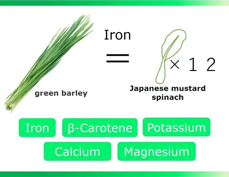 Фруктовые овощные ингредиенты мгновенный безалкогольный напиток Зеленый сок