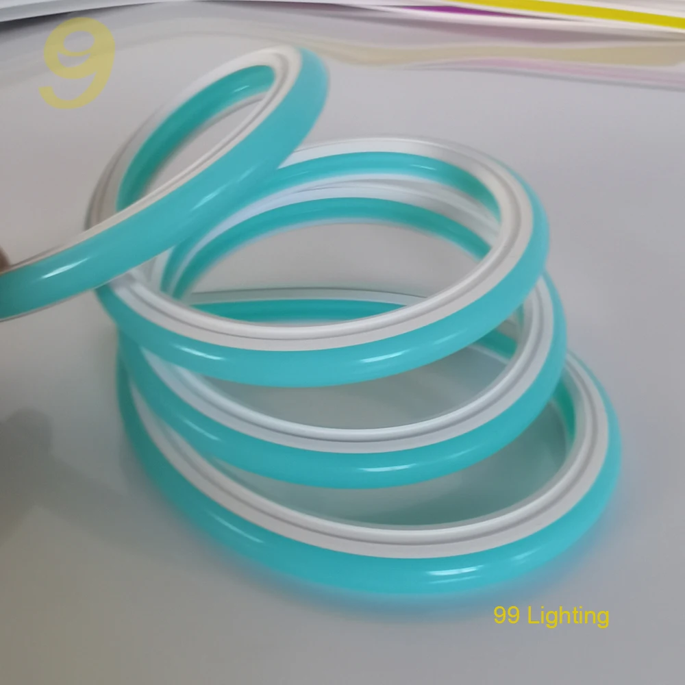 New generation 6mm/8mm/12mm neon flex with 12V led strip for advertising neon signs