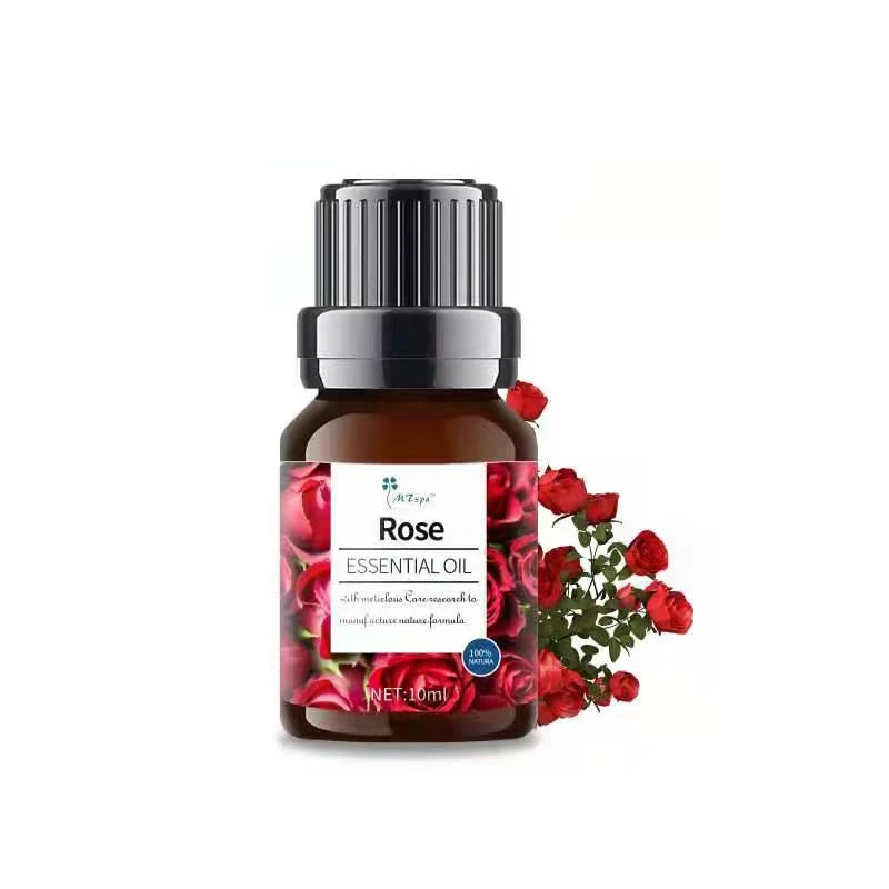 
rose fragrance oil Factory Wholesale good for sleep aromatherapy oil 10ml OEM ODM premium grade diffuser oil rose flavor 