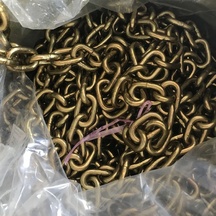 US Type NACM 2010 G70 Grade 70 Transport Chain