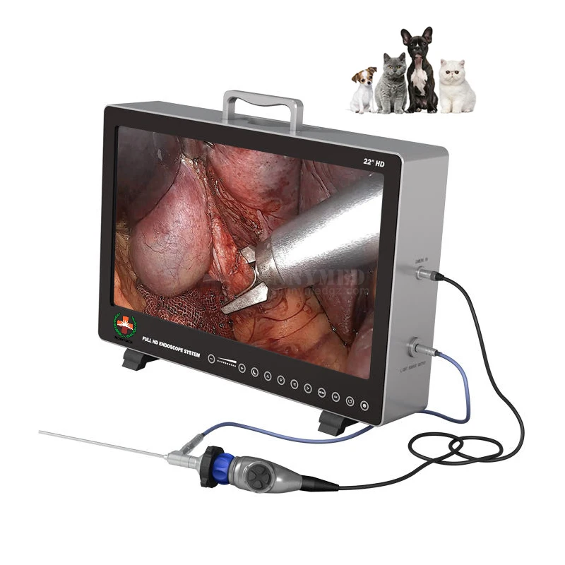 Veterinary laparoscopic equipment Endoscopic image system usb video recording function Dog/Cat full hd 3cmos endoscopy system