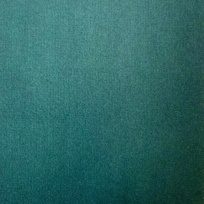 
50% шерстяное утолщенное пальто для одежды, полихроматическая фланелевая ткань в простоте 