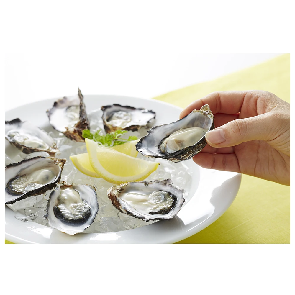 Fresh pacific oyster intestines seafood good frozen Japanese food