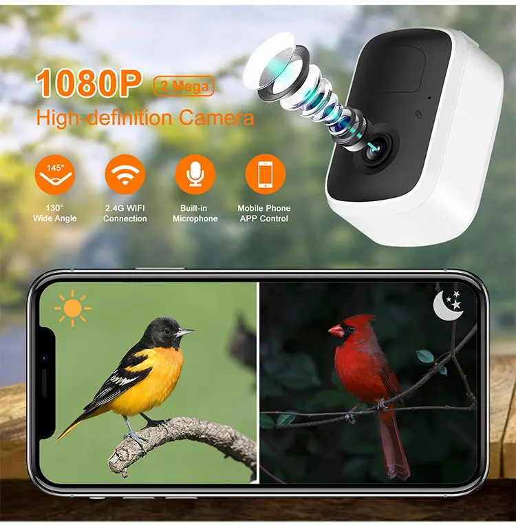 Smart Garden Bird Feeder with Outdoor Wildlife Monitoring wireless Camera