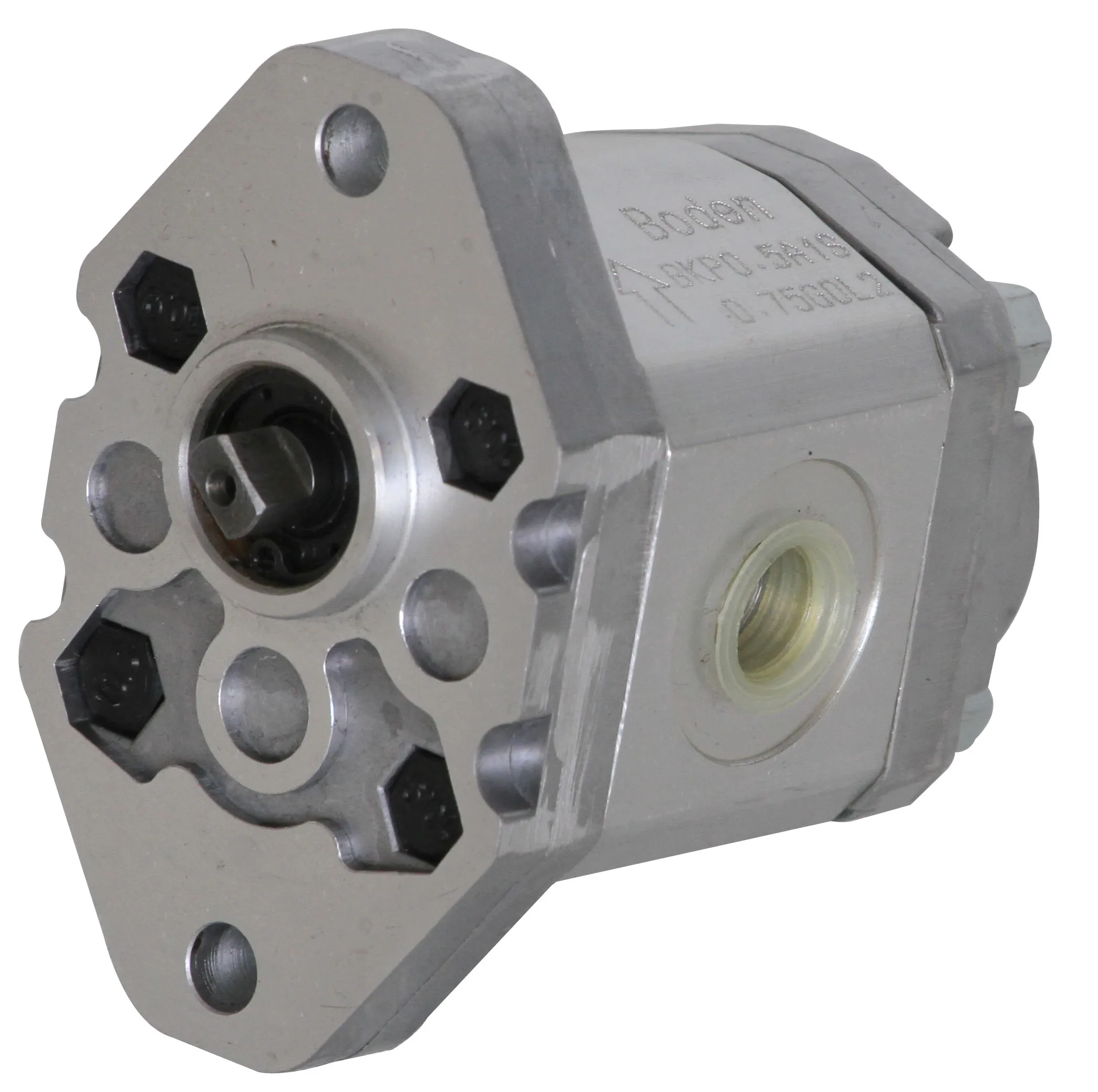 Brand New Wholesale BKP0.5 Series Mini Hydraulic Gear Pumps