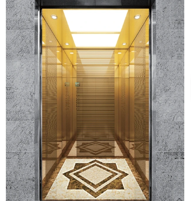 Syney Superior Quality Stable Functioning Passenger Lift Elevator