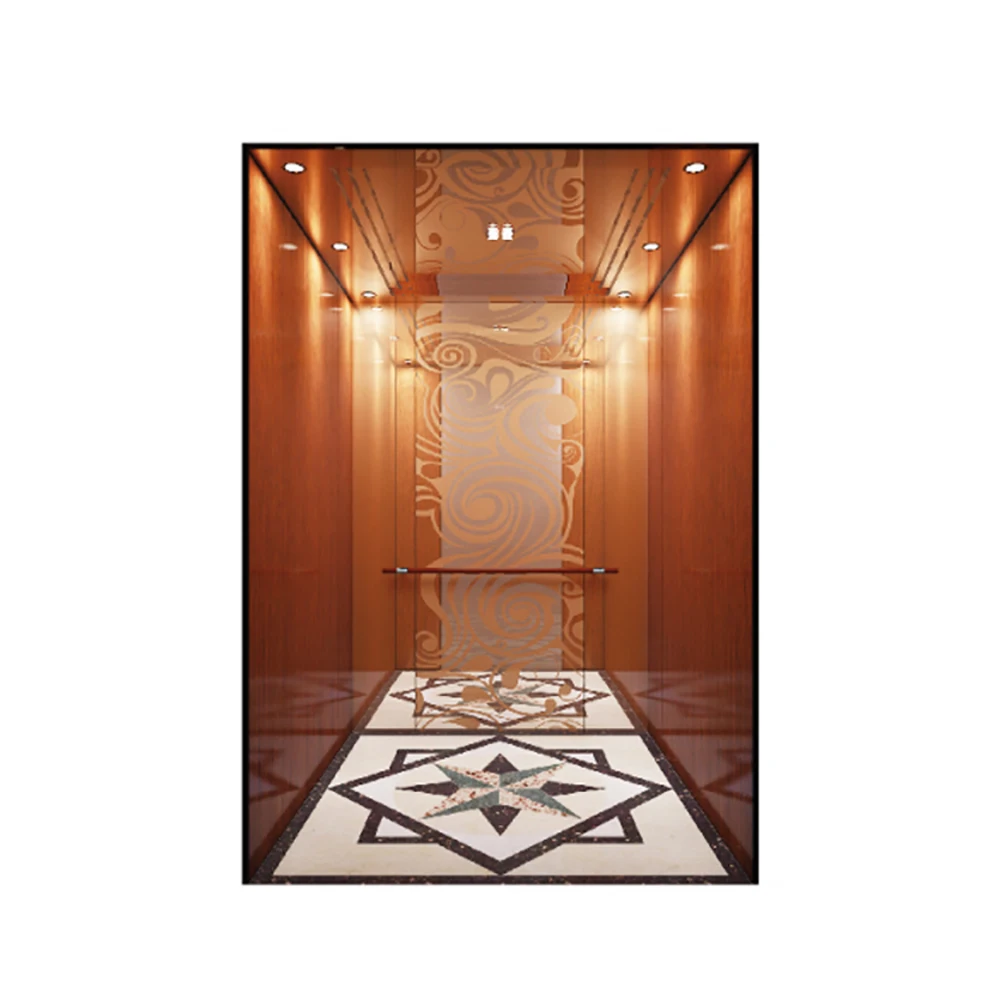 New Panoramic Glass Cabin Lifter Elevator AC Drive Type for Passenger Elevator for Sightseeing Applications CE Certified