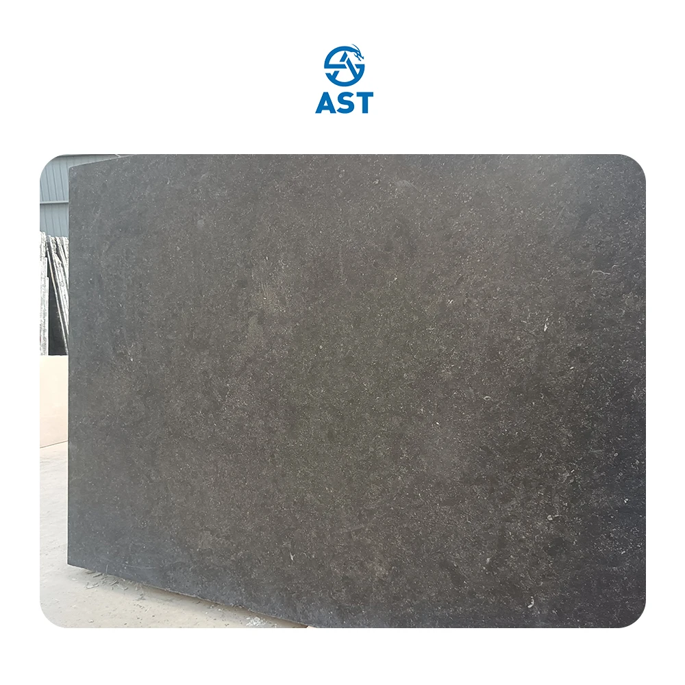 AST OEM/ODM Natural Hight Quality Modern hot selling Polished Belgium Hardstone Marble for living room