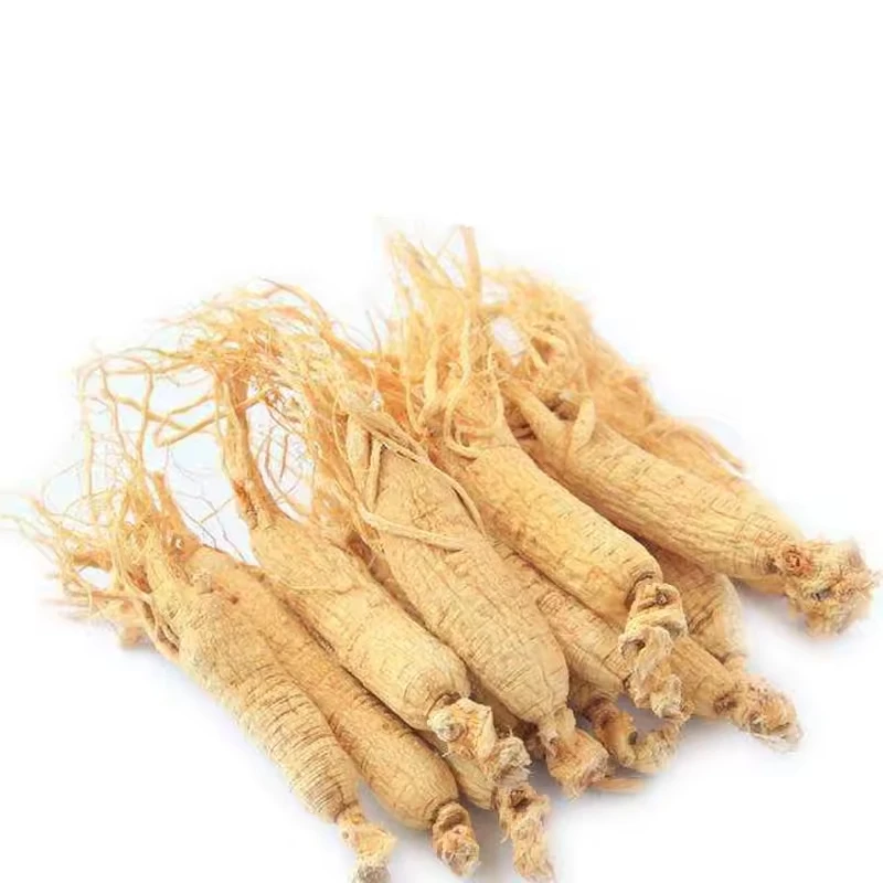 Chinese herbal dried organic panax wild chinese gensing product root ginseng