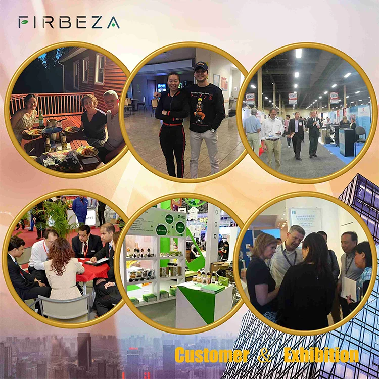 Cheap Price Food Grade Supercritical Co2 Organic Sea-Buckthorn Seabuckthorn Fruit Oil