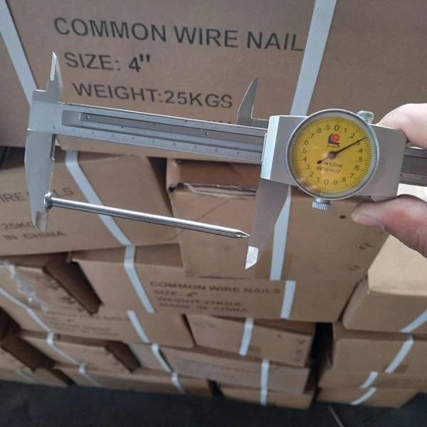 Simple and practical Common nails construction, repair, common