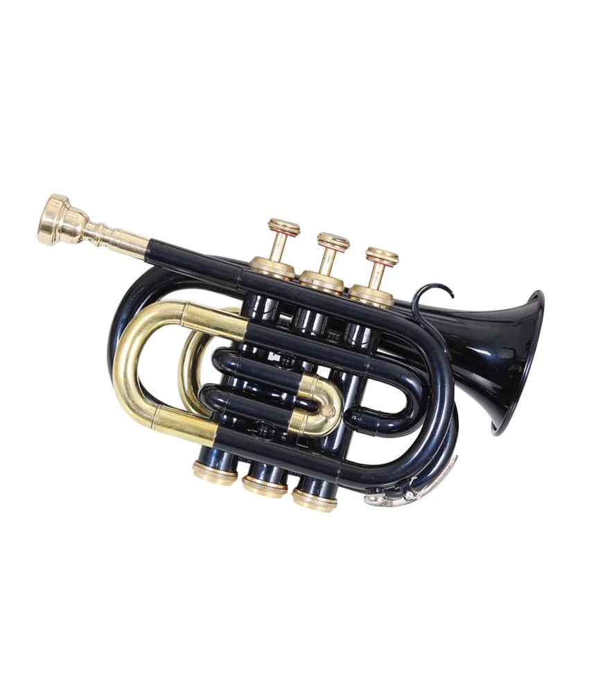 NASIR ALI NEW PROFESSIONAL BB  PITCH  BLACK POCKET TRUMPET PREMIUM QUALITY WITH INCLUDE HARDCASE AND MOUTH PIECE