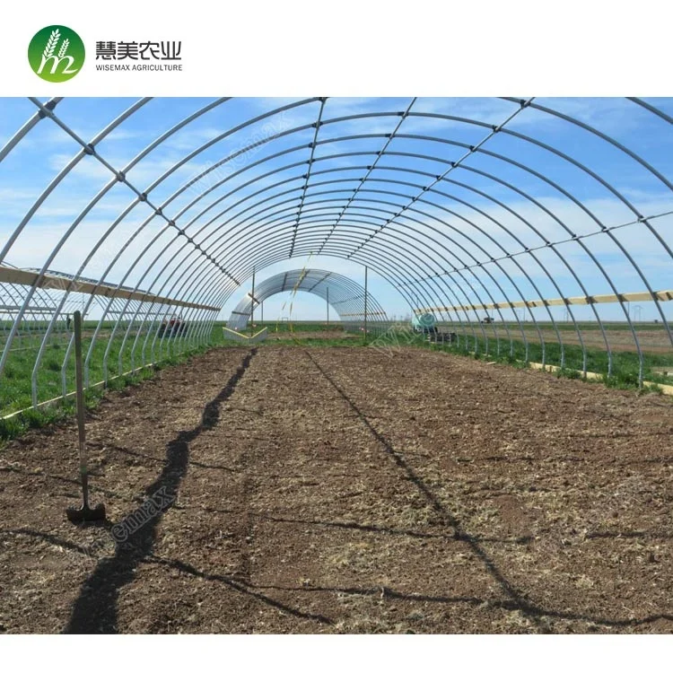 Tomato cucumbers used commercial plastic prefabricated greenhouse